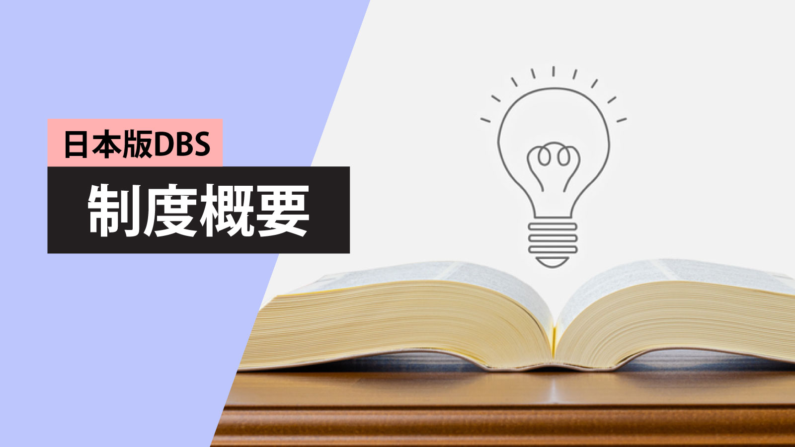 制度概要